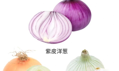菠萝蜜的营养成分及功效-菠萝蜜的丝有什么功效网—知名的菠萝蜜的功效及禁忌网站,分享菠萝蜜的功效及禁忌知识