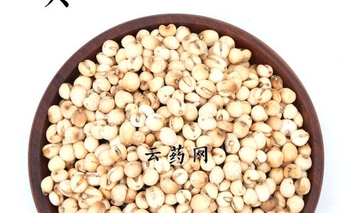 菠萝蜜的丝有什么功效网—知名的菠萝蜜的功效及禁忌网站,分享菠萝蜜的功效及禁忌知识